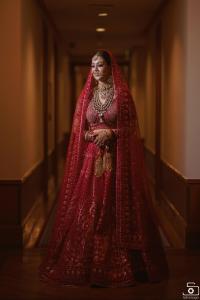 Photos by Safarsaga Films
